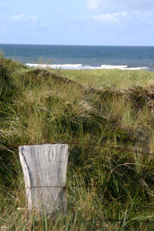 Dünenlandschaft