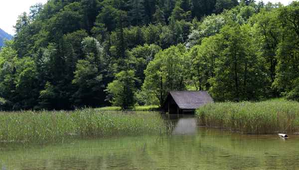 Boothaus amLeopoldsteinersee