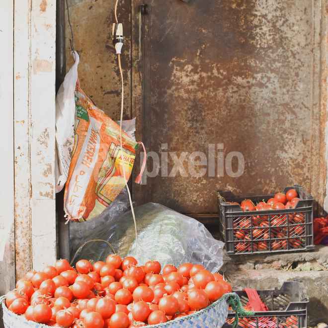Tomato