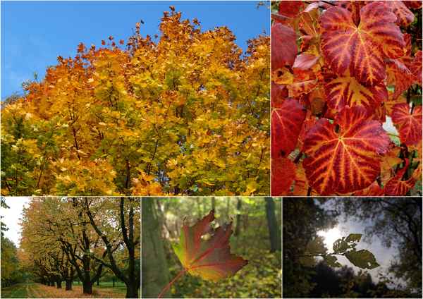 Herbst 2012