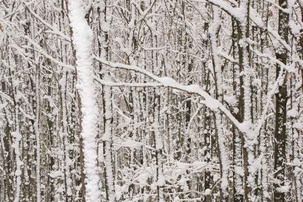 Winterlandschaft Norddeutschland