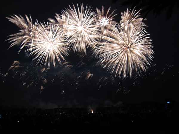 Feuerwerk 2014 (2)