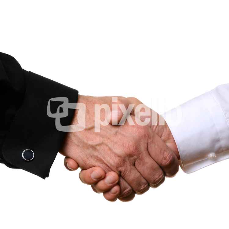 shake hands