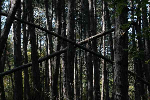 :: natürliche Durchgangssperre