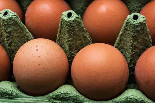 Eier in der Schachtel