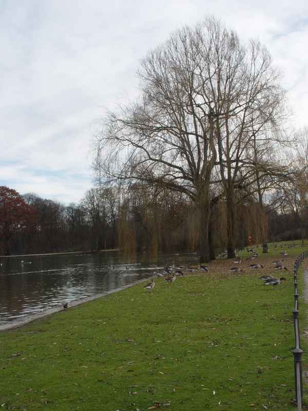Englischer Garten