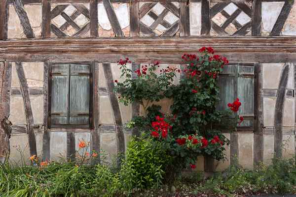 Fassade