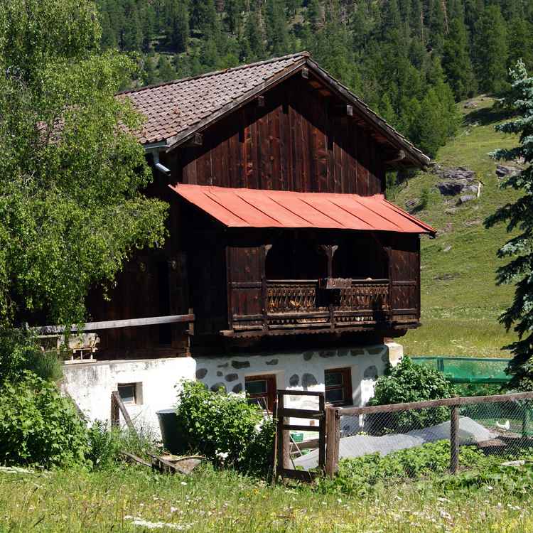 Von der Sonne gebräunt