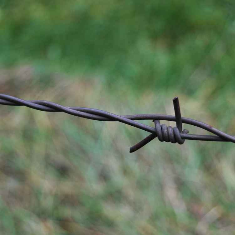 Stacheldraht