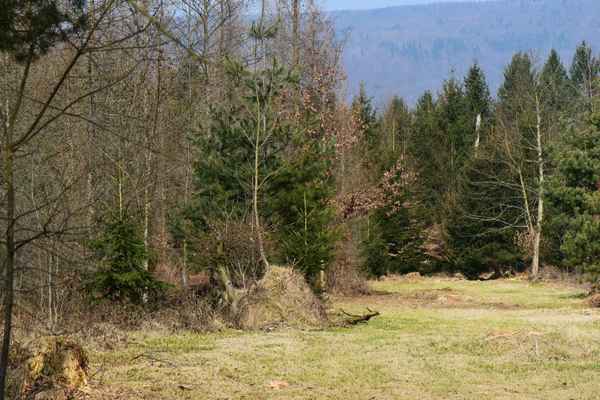 Die Natur steht still
