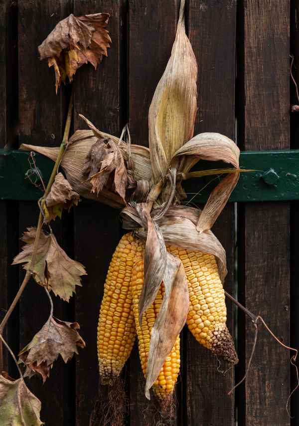 Herbstdeko  am Hoftor