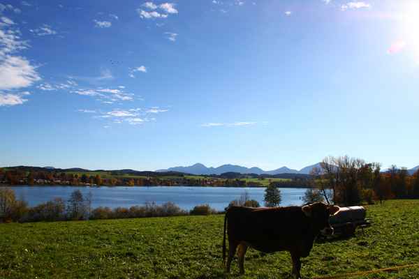 Ein Sommertag im Oktober...03
