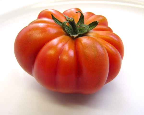 Tomatenschönheit_2
