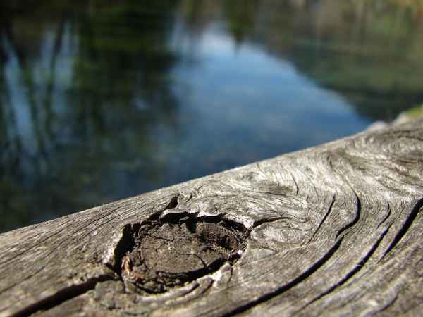 Astloch im Geländer