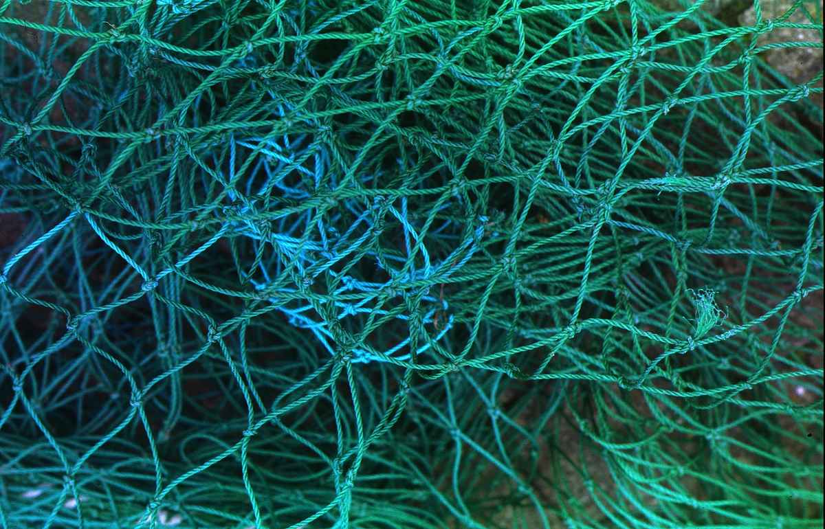 Fischernetz auf Fehmarn