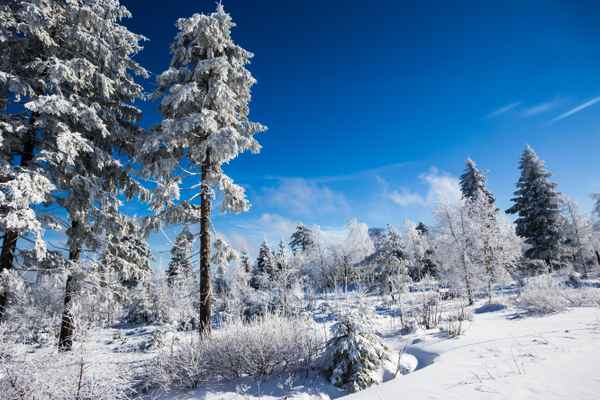 Wintermärchen im Schwarzwald