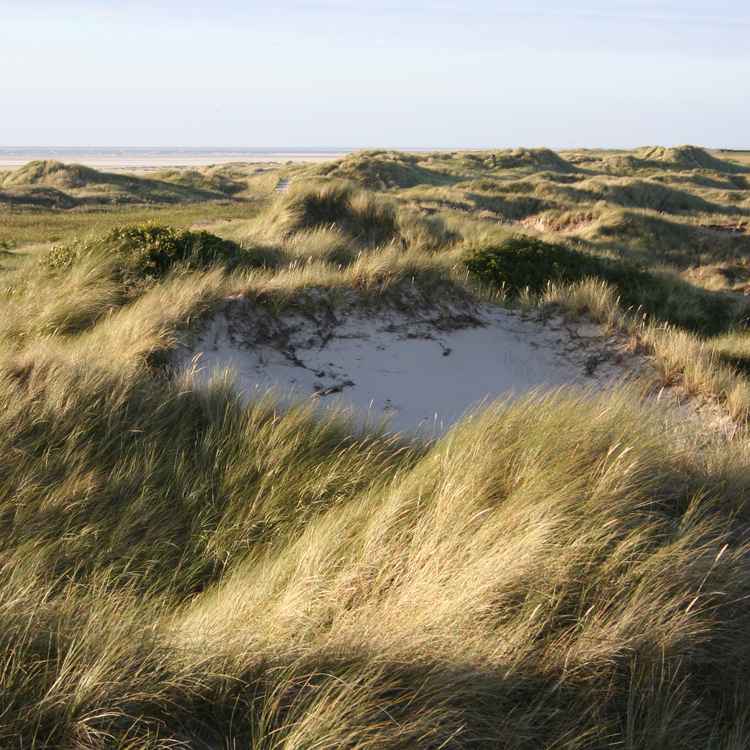 Dünen