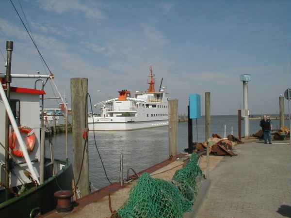Haven
