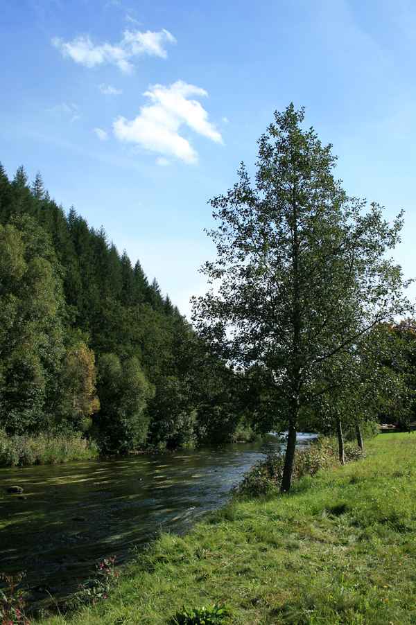die murg.....nordschwarzwald