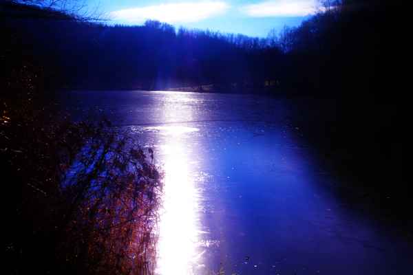 thaler see