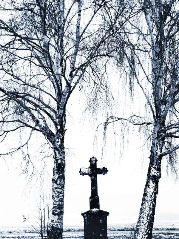 Gedenk-Kreuz mit Birken im November