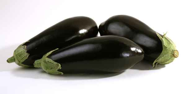 Auberginen