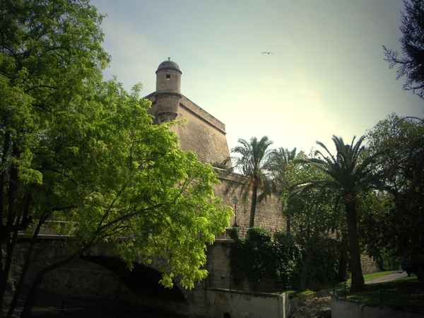 Palma La Seu