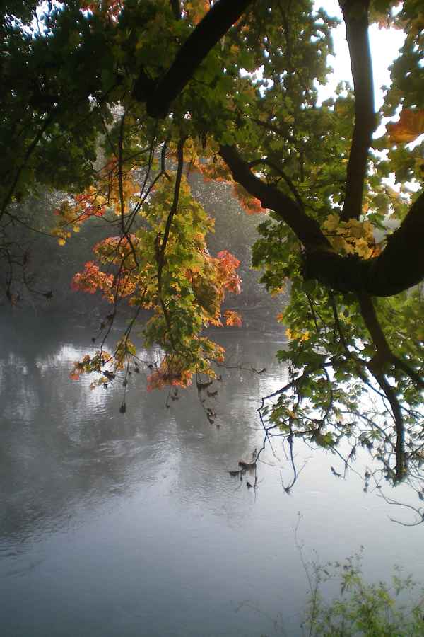 Herbst