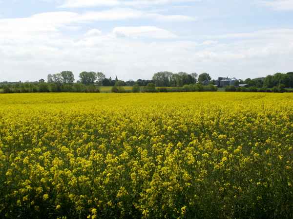 Kalifornien an der Ostsee
