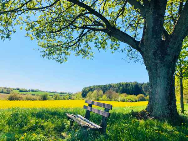 Frühlings-Wanderung mit Bank