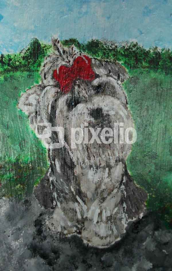 Yorki