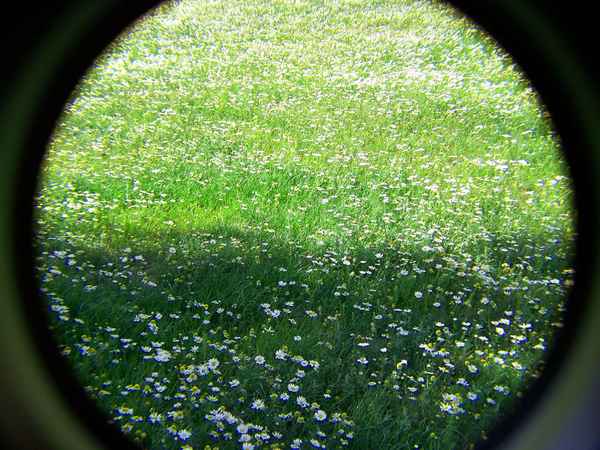 Durchblick