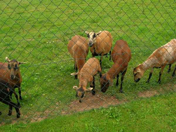Bitte nicht füttern