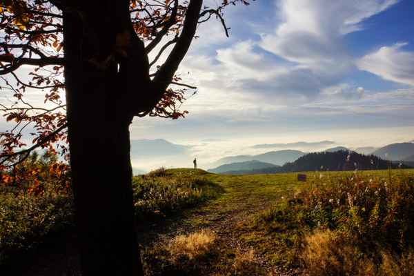 Ausblick in Schwarzwald-Täler_2