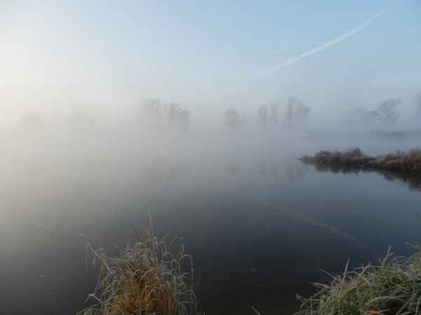 Schubverband im Nebel