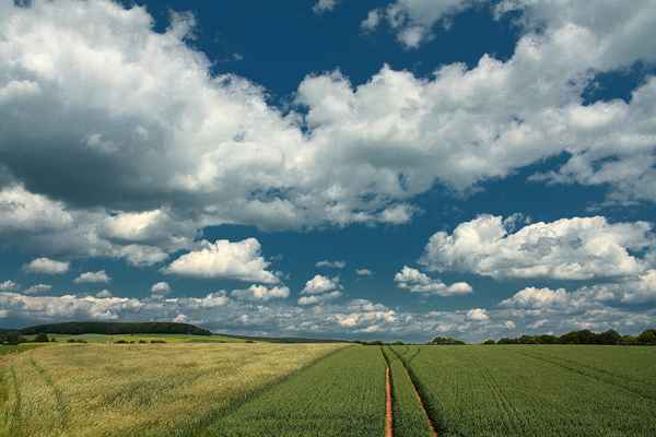 WolkenFelder