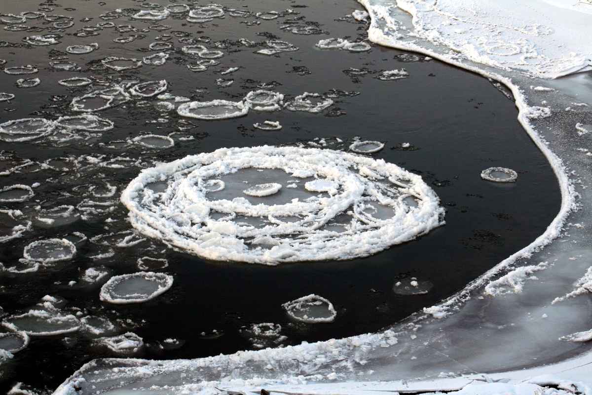 Eisschollen auf der Weser 3