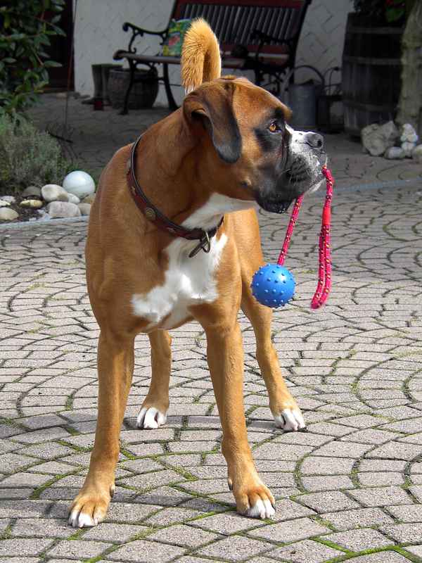 Max (1)
