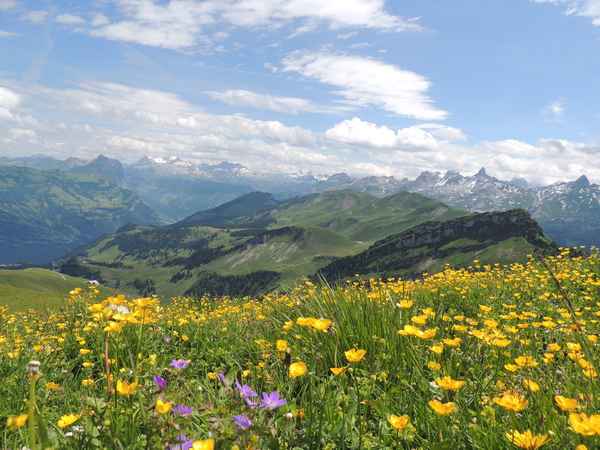 Eintauchen und geniessen.....