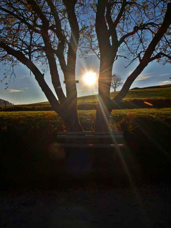 In der Mitte die Sonne