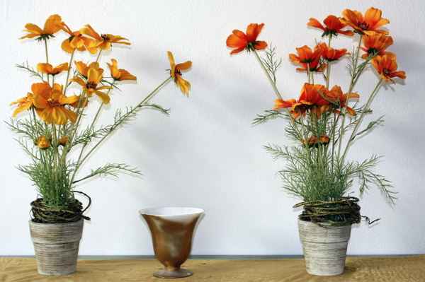 Blumenbank