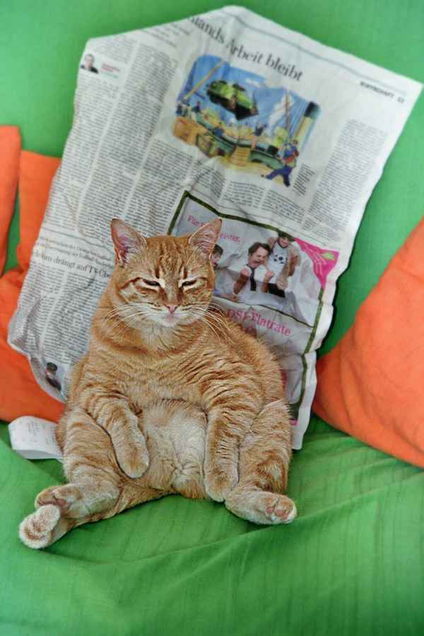 Ein harter Tag geht zu Ende ....