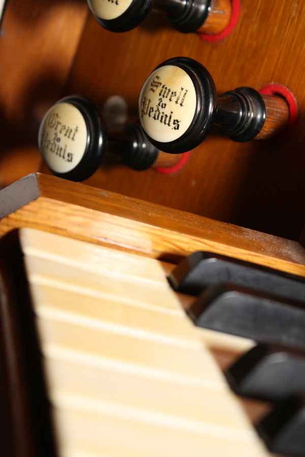 Orgel