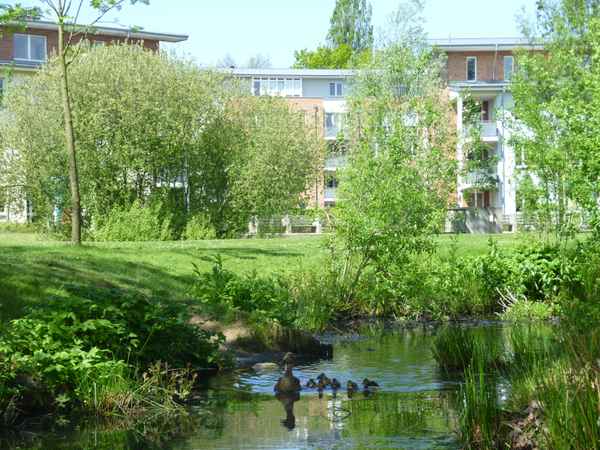 Naturnahes Wohnen