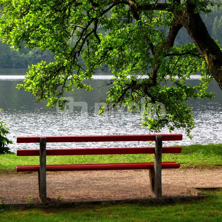 Titisee mit Ruhebank