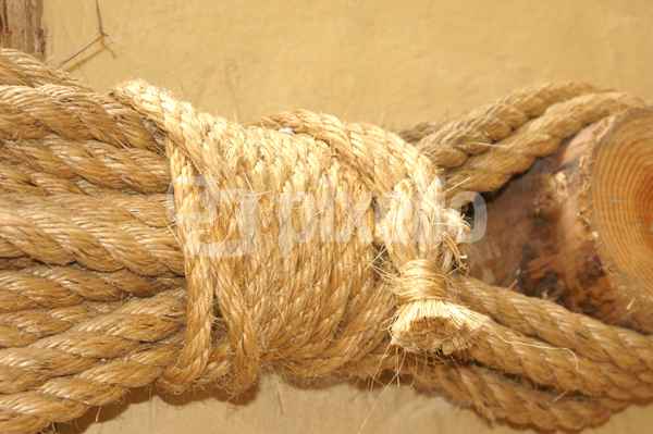 Knoten
