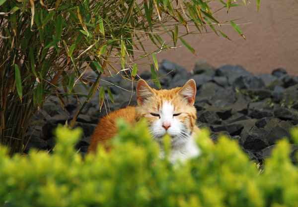 beobachten und abwarten