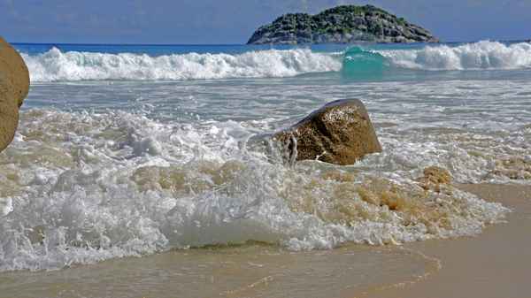 lebendiges meer