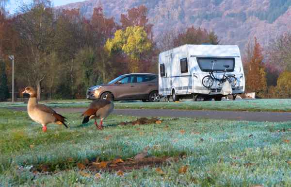 morgendlicher Besuch