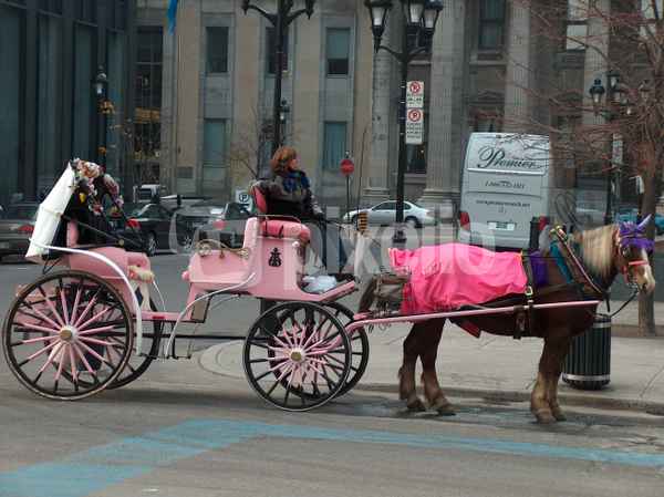 Fiaker in Montreal